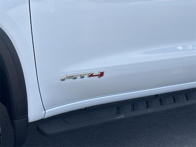 2024 GMC Sierra 1500 Vehicle Photo in ALBERTVILLE, AL 35950-0246