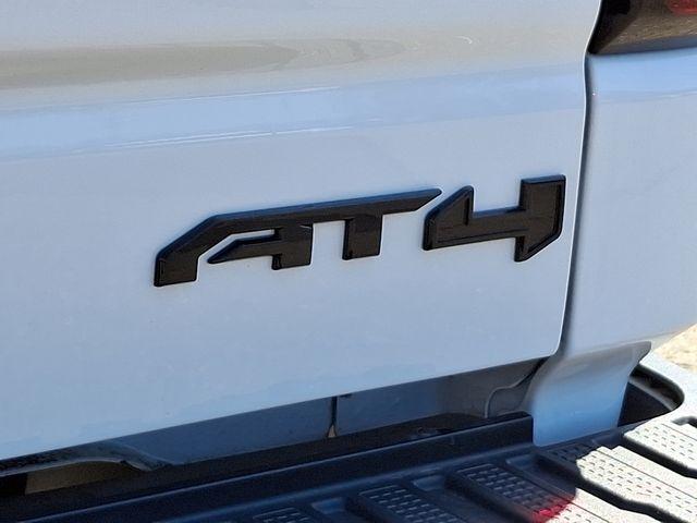 2020 GMC Sierra 1500 Vehicle Photo in DANBURY, CT 06810-5034