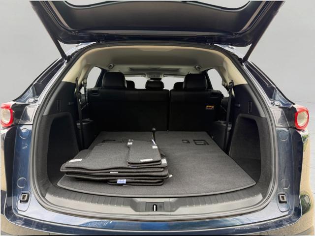 2021 Mazda CX-9 Vehicle Photo in Appleton, WI 54914