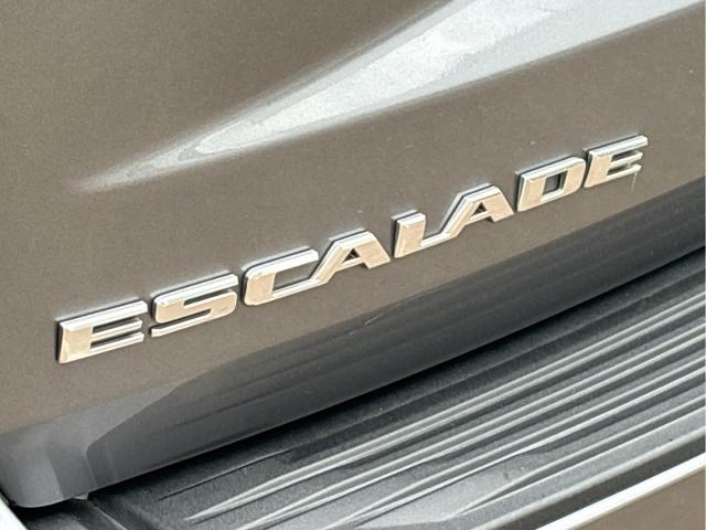 2022 Cadillac Escalade ESV Vehicle Photo in Grapevine, TX 76051