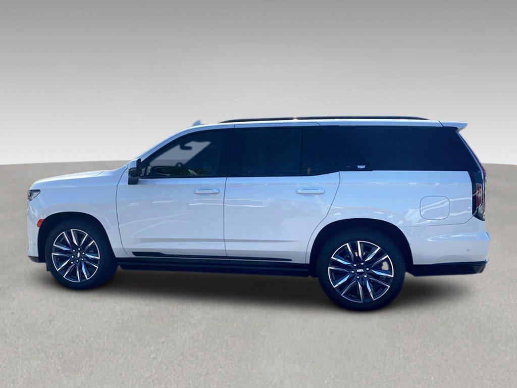 2022 Cadillac Escalade Vehicle Photo in SAVANNAH, GA 31406-4513