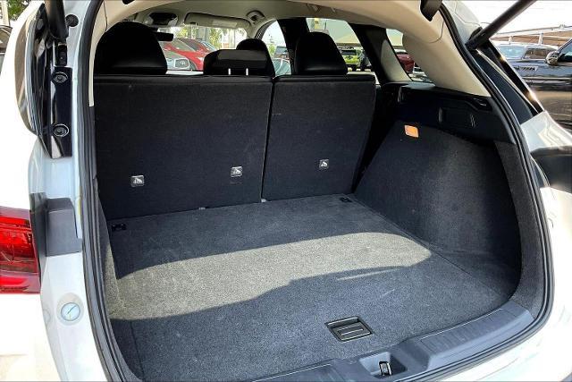 2023 INFINITI QX50 Vehicle Photo in San Antonio, TX 78230