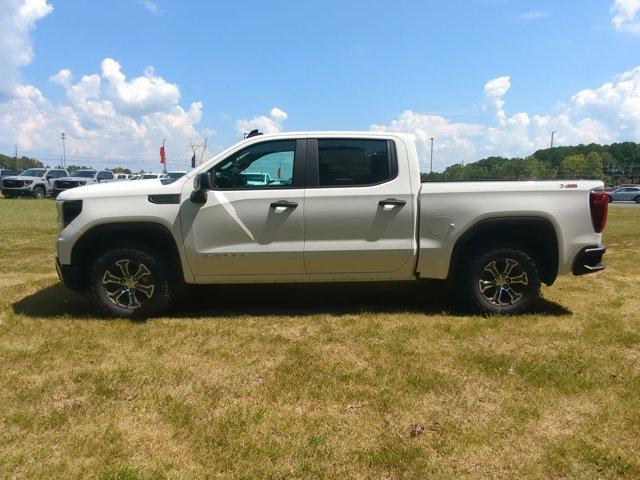 2024 GMC Sierra 1500 Vehicle Photo in ALBERTVILLE, AL 35950-0246