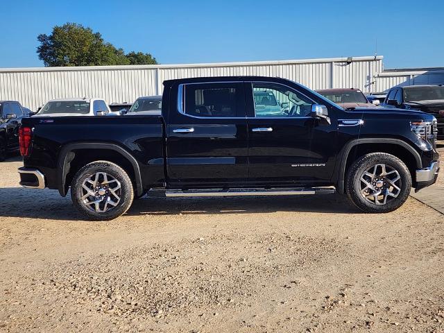 2025 GMC Sierra 1500 Vehicle Photo in PARIS, TX 75460-2116