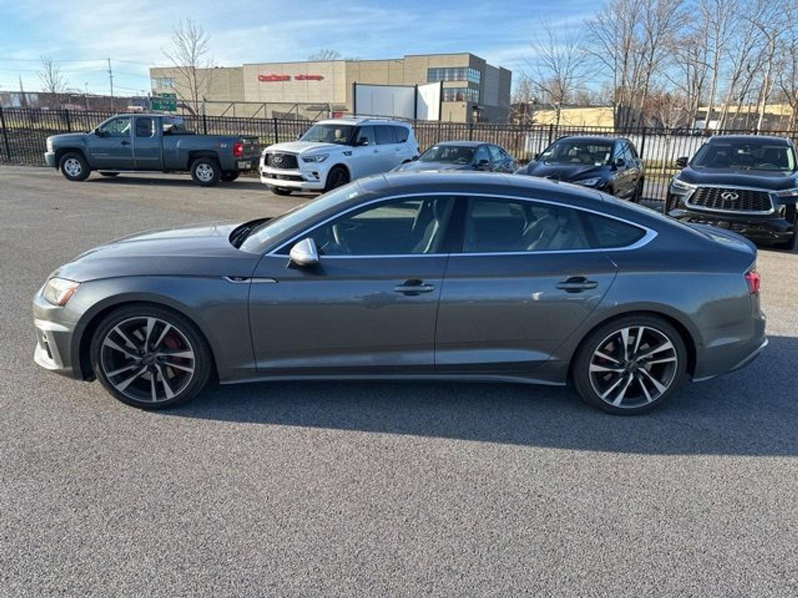 2023 Audi S5 Sportback Vehicle Photo in Willow Grove, PA 19090