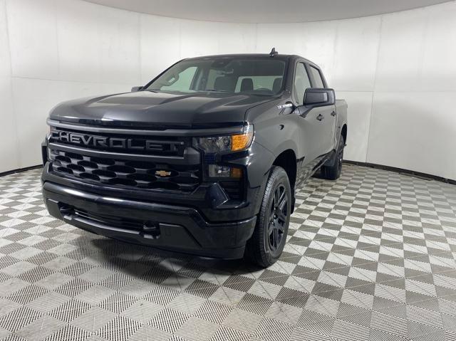 2023 Chevrolet Silverado 1500 Vehicle Photo in MEDINA, OH 44256-9001