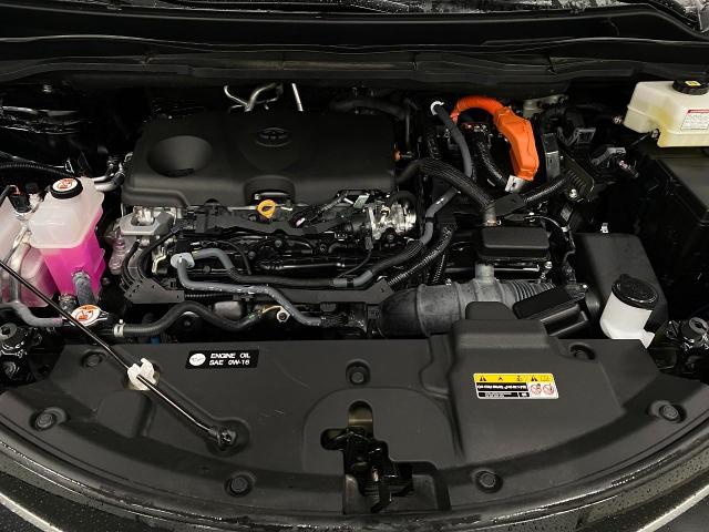 2024 Toyota Sienna Vehicle Photo in Appleton, WI 54913