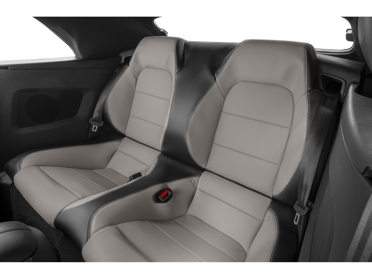 2022 Ford Mustang Vehicle Photo in Green Bay, WI 54304