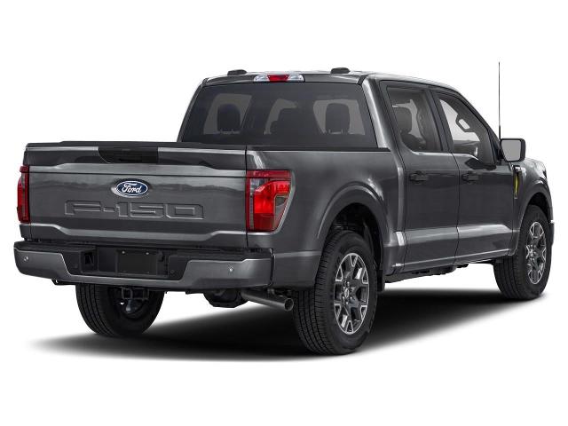 2024 Ford F-150 Vehicle Photo in Green Bay, WI 54304