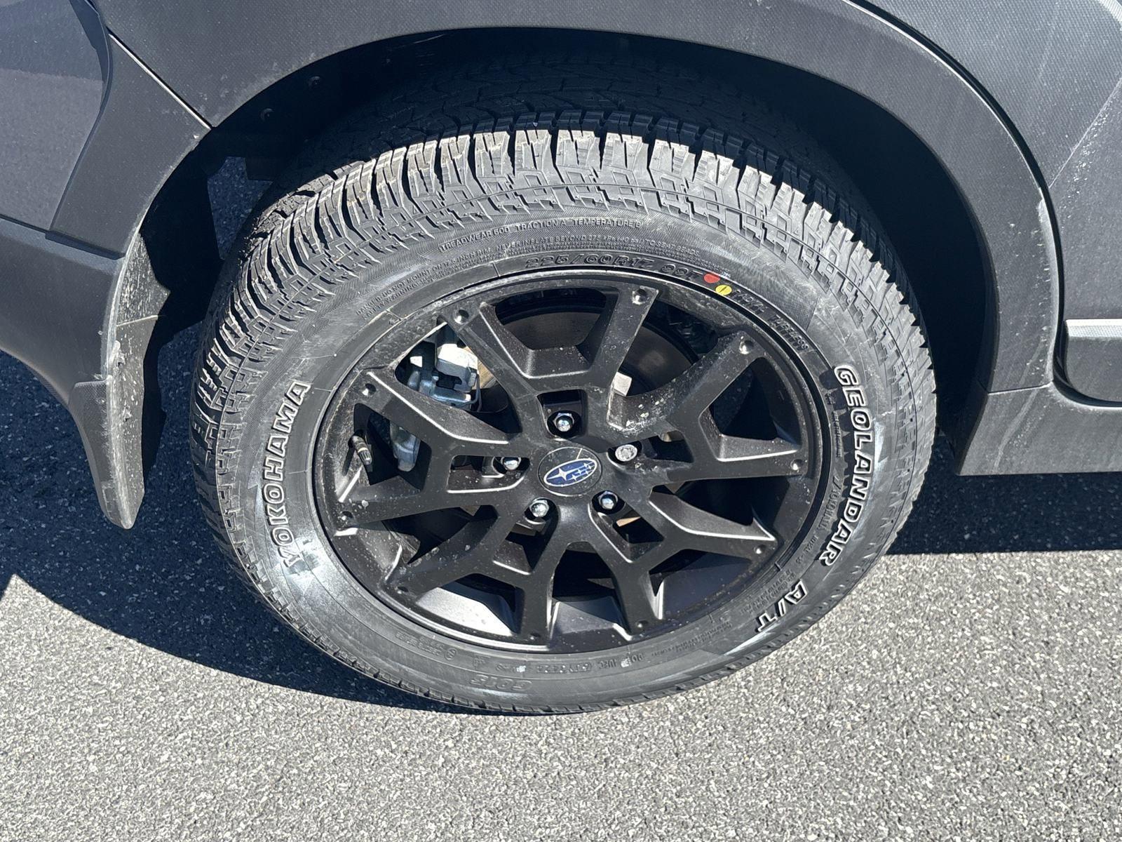 2025 Subaru Crosstrek Vehicle Photo in Mechanicsburg, PA 17050