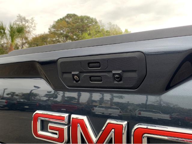 2021 GMC Sierra 1500 Vehicle Photo in BEAUFORT, SC 29906-4218