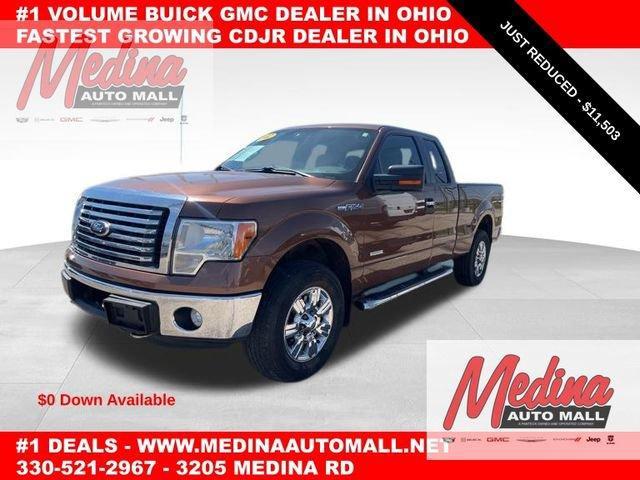 2012 Ford F-150 Vehicle Photo in MEDINA, OH 44256-9631
