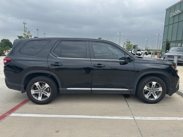 2024 Honda Pilot Vehicle Photo in San Antonio, TX 78230
