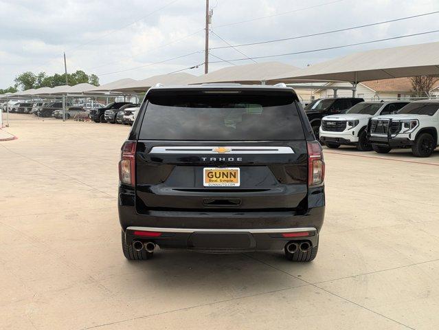 2023 Chevrolet Tahoe Vehicle Photo in SELMA, TX 78154-1460