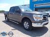 Used 2022 Ford F-150 XLT with VIN 1FTFW1E81NKF11600 for sale in Dalhart, TX