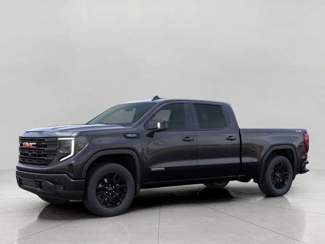 2025 GMC Sierra 1500 Vehicle Photo in GREEN BAY, WI 54303-3330