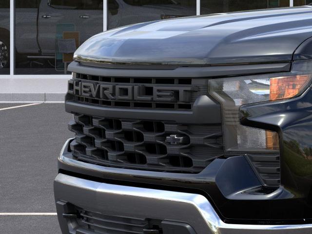 2025 Chevrolet Silverado 1500 Vehicle Photo in TULLY, NY 13159-3159
