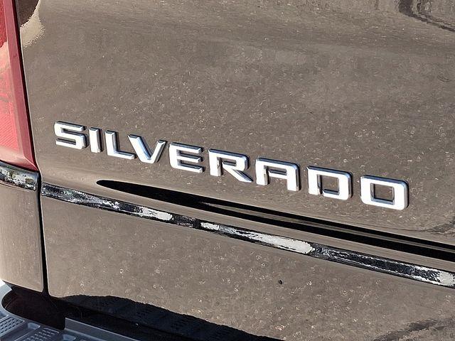 2022 Chevrolet Silverado 1500 Vehicle Photo in PAWLING, NY 12564-3219