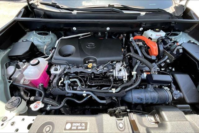 2021 Toyota RAV4 Vehicle Photo in San Antonio, TX 78230