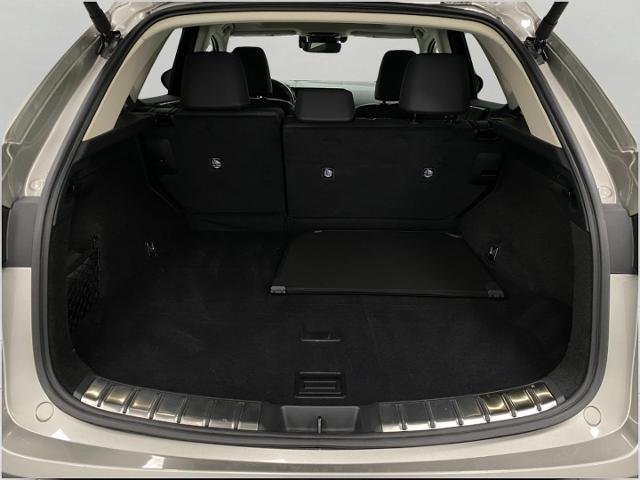 2025 Lexus NX 350 Vehicle Photo in Appleton, WI 54913