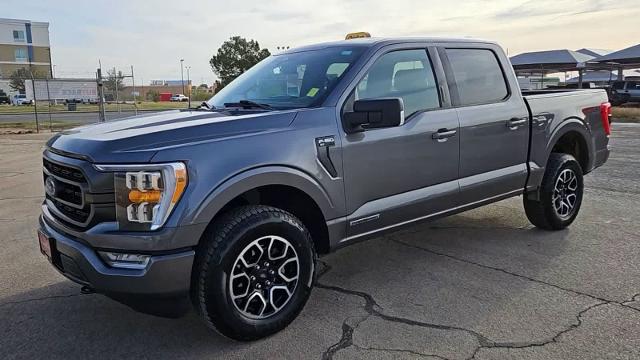 2023 Ford F-150 Vehicle Photo in San Angelo, TX 76901