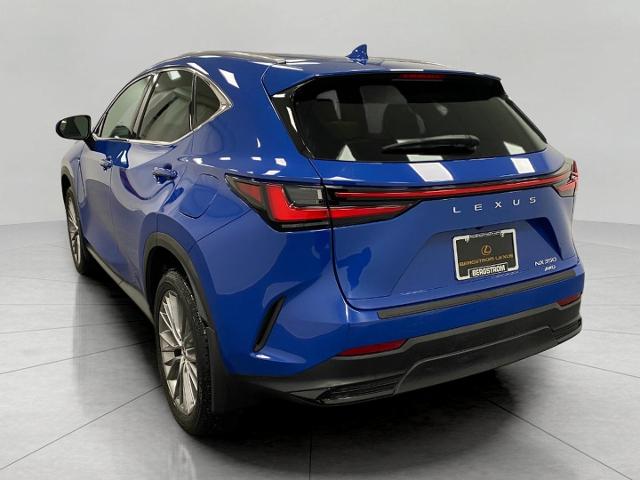 2023 Lexus NX 350 Vehicle Photo in Appleton, WI 54913