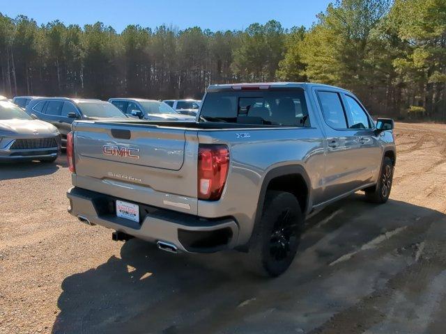 2025 GMC Sierra 1500 Vehicle Photo in ALBERTVILLE, AL 35950-0246