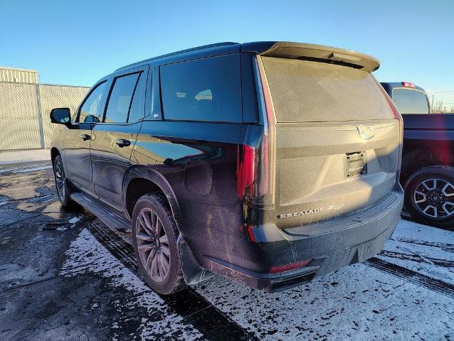 2023 Cadillac Escalade Vehicle Photo in GREEN BAY, WI 54304-5303