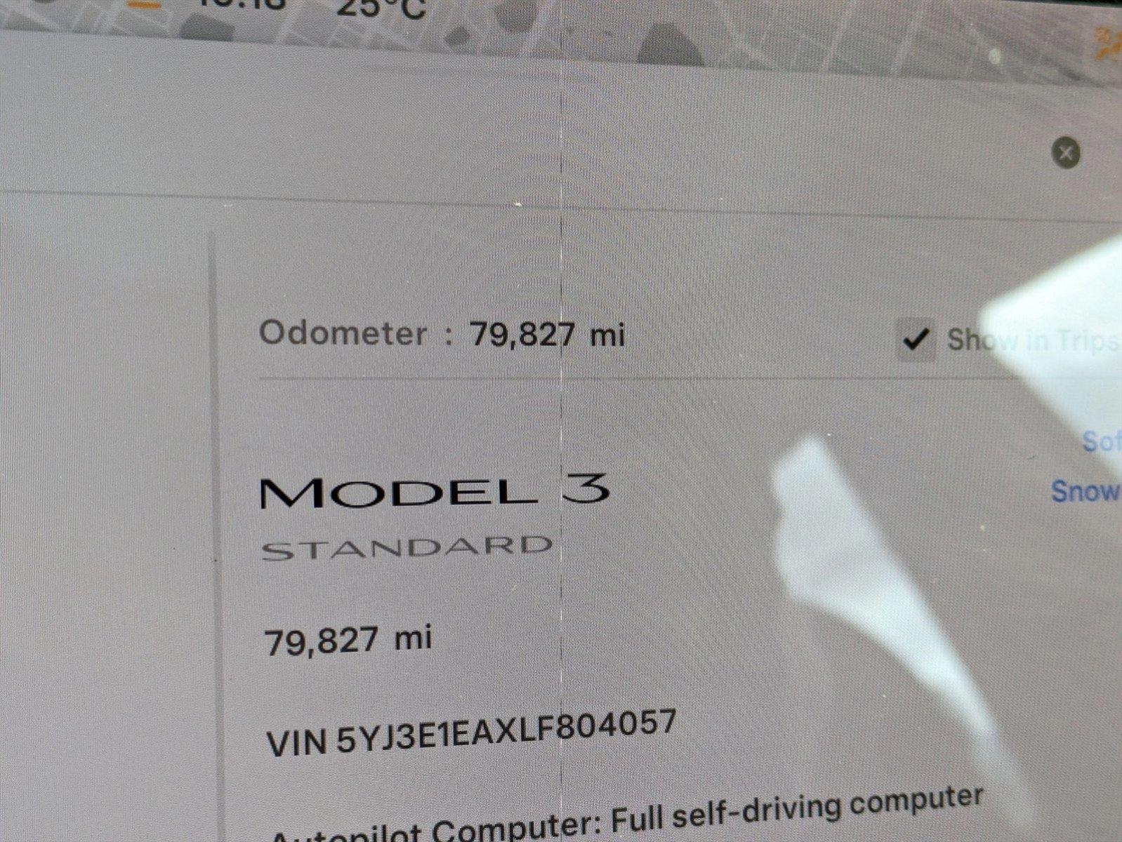 2020 Tesla Model 3 Vehicle Photo in ORLANDO, FL 32812-3021