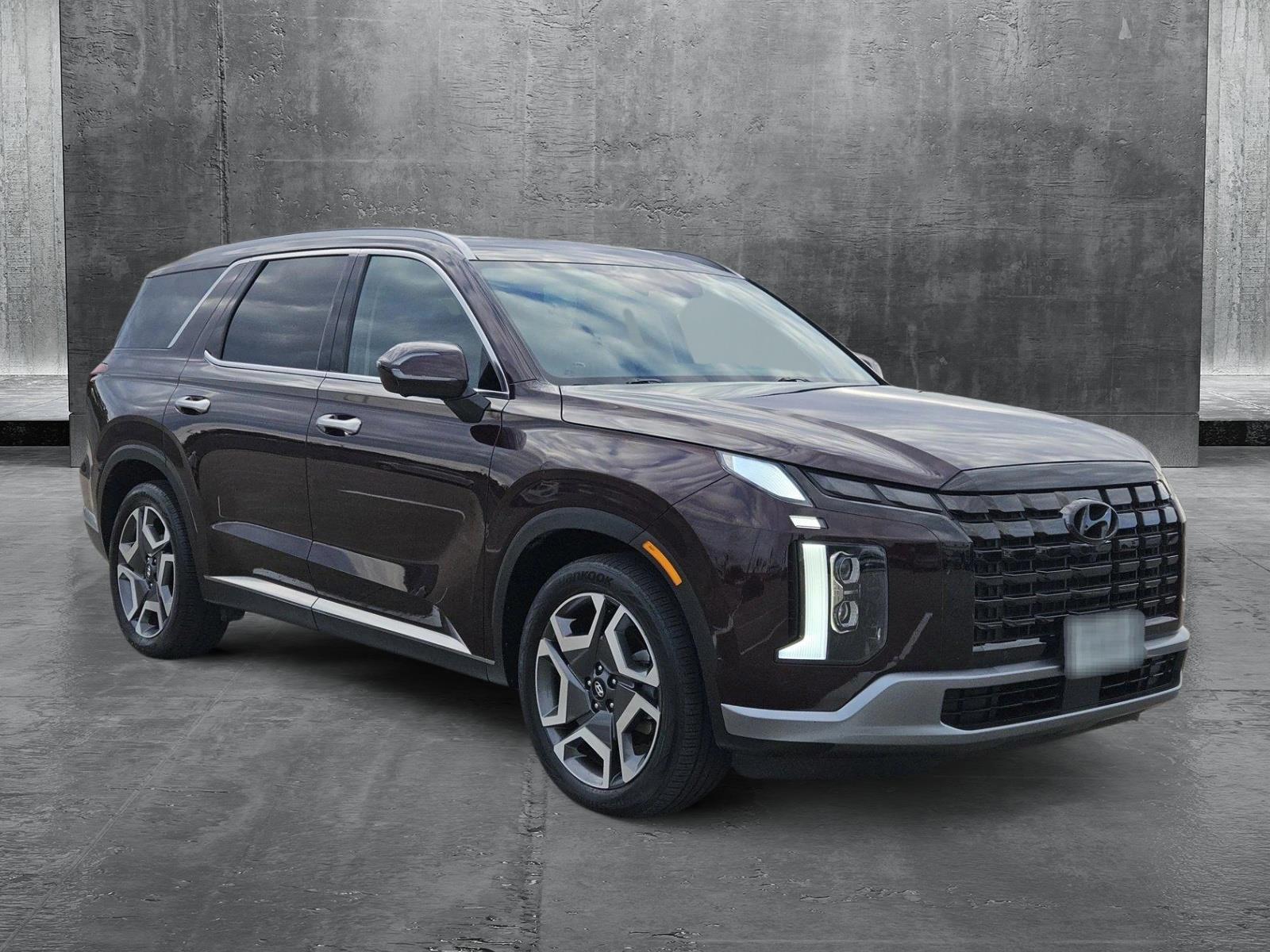 2024 Hyundai Palisade Vehicle Photo in CORPUS CHRISTI, TX 78416-1100