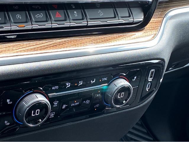 2025 Chevrolet Silverado 1500 Vehicle Photo in BEAUFORT, SC 29906-4218