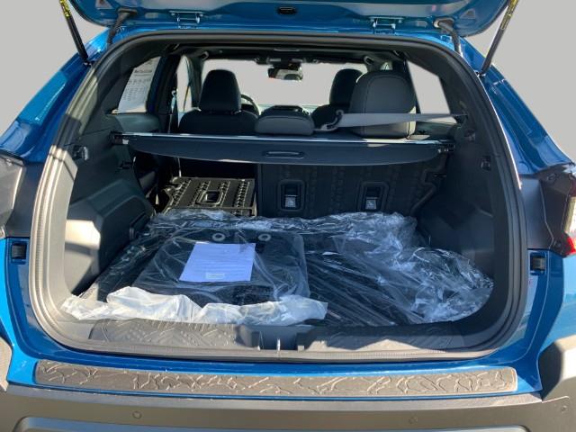 2025 Subaru Crosstrek Vehicle Photo in Oshkosh, WI 54904