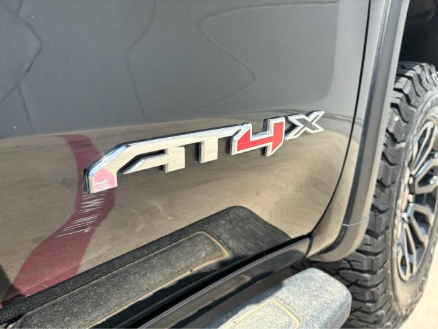 2023 GMC Sierra 1500 Vehicle Photo in Grapevine, TX 76051