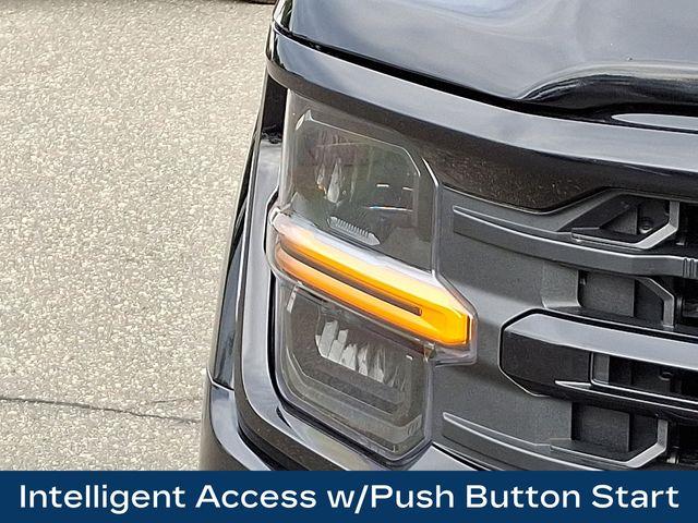 2024 Ford F-150 Vehicle Photo in DANBURY, CT 06810-5034