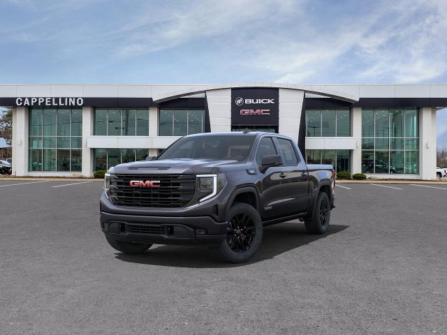 2025 GMC Sierra 1500 Vehicle Photo in WILLIAMSVILLE, NY 14221-2883