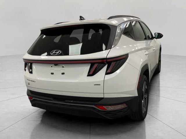 2024 Hyundai TUCSON Vehicle Photo in Appleton, WI 54913