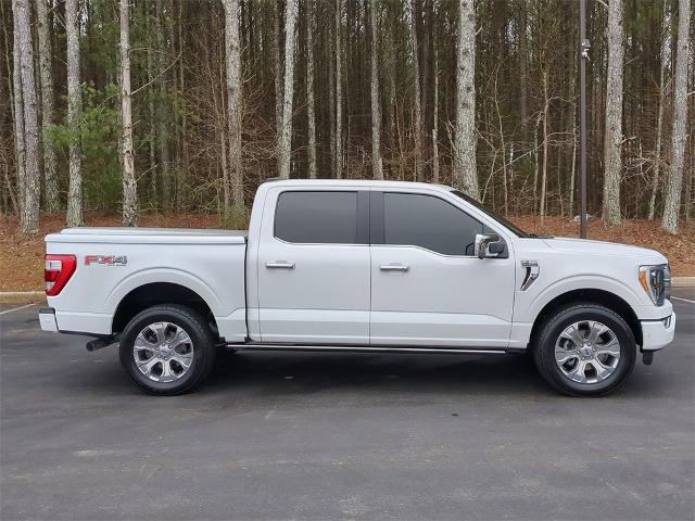 2021 Ford F-150 Vehicle Photo in ALBERTVILLE, AL 35950-0246