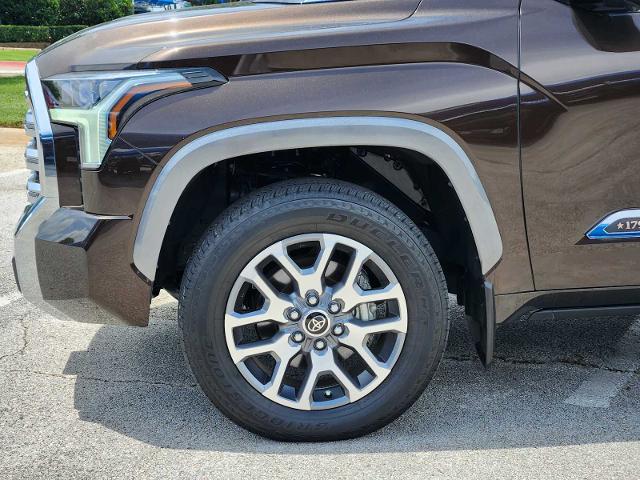 2024 Toyota Tundra 4WD Vehicle Photo in DENTON, TX 76210-9321