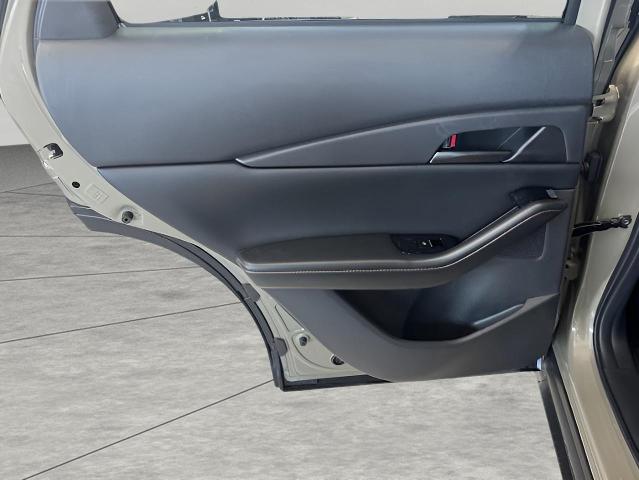 2025 Mazda CX-30 Vehicle Photo in Green Bay, WI 54304