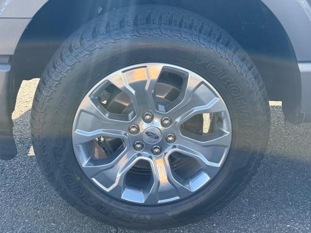 2021 Ford F-150 Vehicle Photo in COLUMBIA, MO 65203-3903