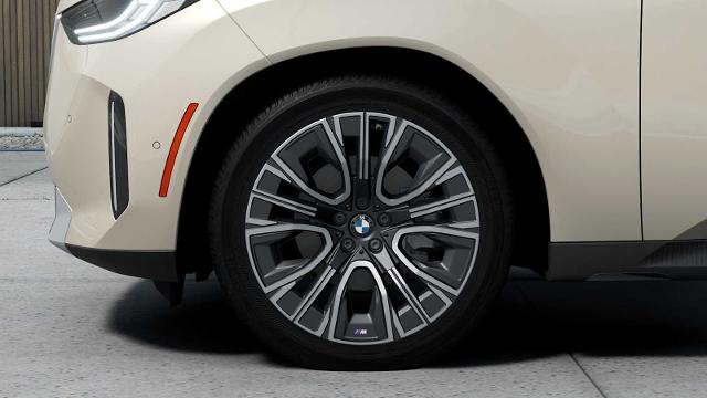 2025 BMW X3 30 xDrive Vehicle Photo in GRAPEVINE, TX 76051