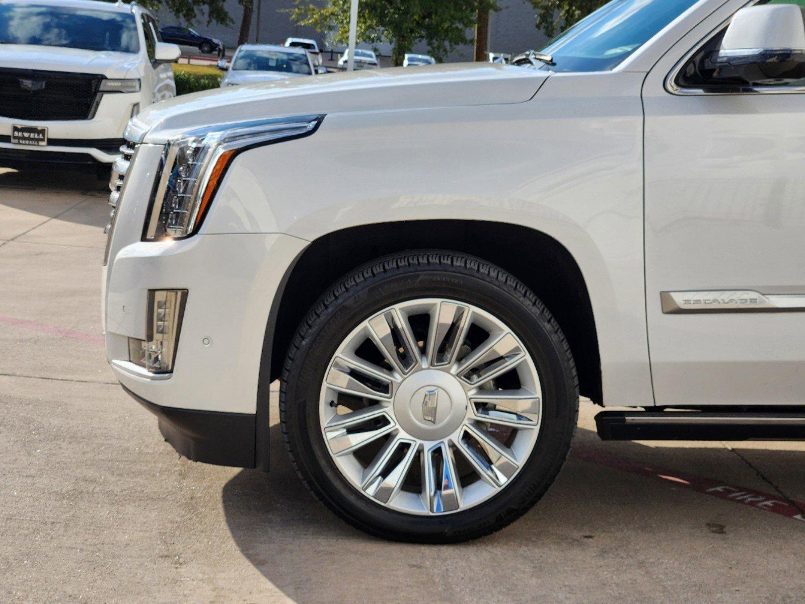 2019 Cadillac Escalade Vehicle Photo in GRAPEVINE, TX 76051-8302