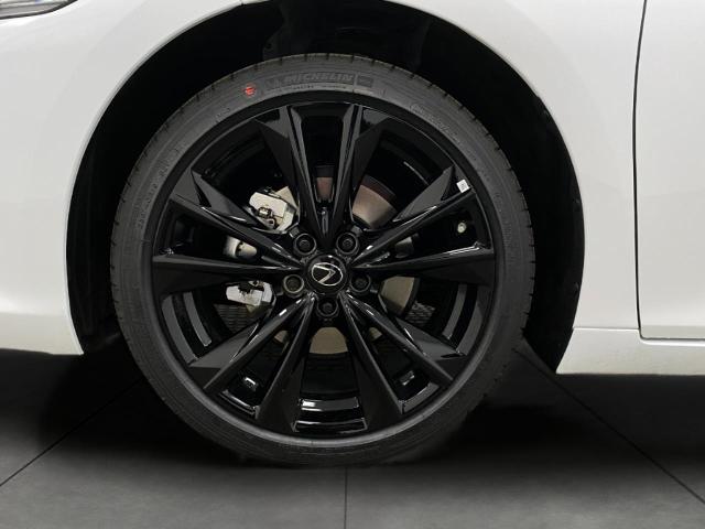 2025 Lexus ES 300h Vehicle Photo in Appleton, WI 54913