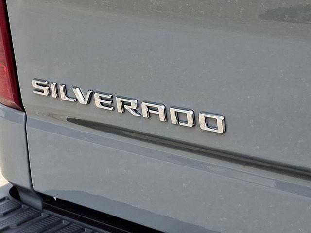 2024 Chevrolet Silverado 1500 Vehicle Photo in DANBURY, CT 06810-5034