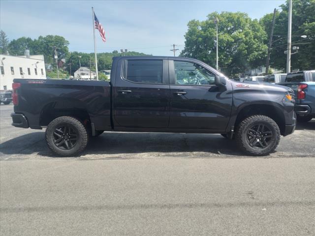 2024 Chevrolet Silverado 1500 Vehicle Photo in INDIANA, PA 15701-1897