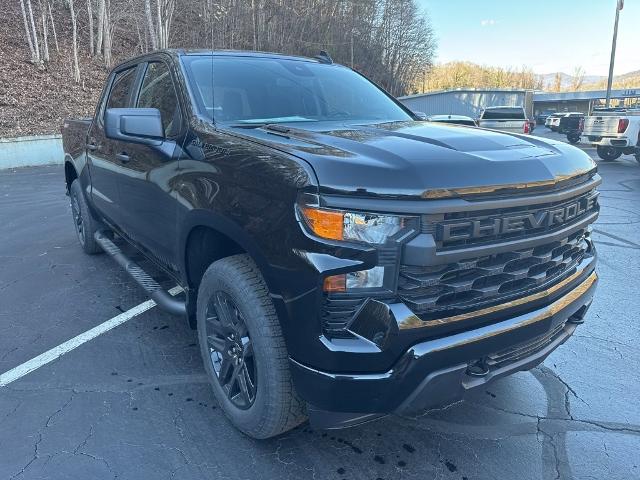 2025 Chevrolet Silverado 1500 Vehicle Photo in MARION, NC 28752-6372