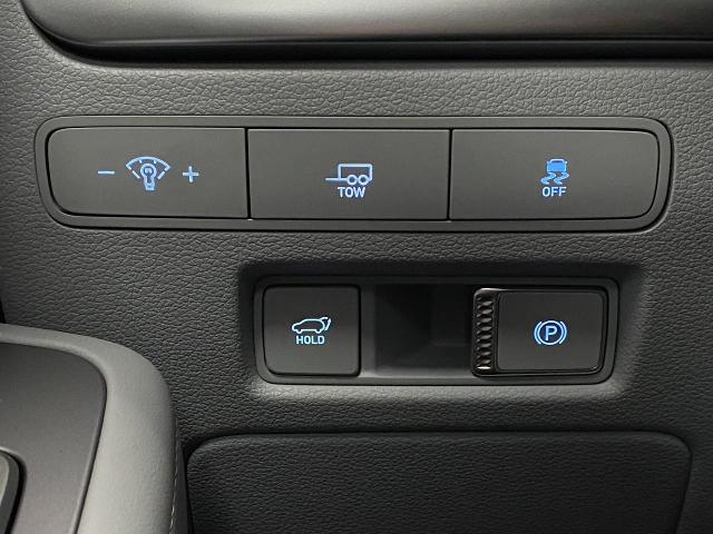 2025 Hyundai PALISADE Vehicle Photo in Appleton, WI 54913