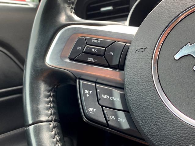 2023 Ford Mustang Vehicle Photo in BEAUFORT, SC 29906-4218