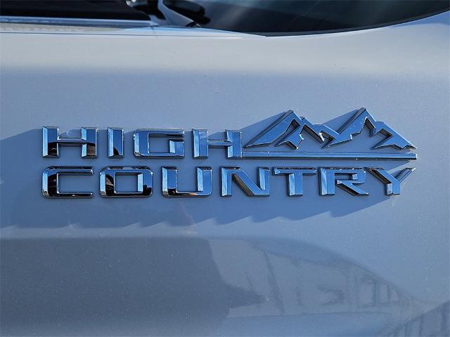 2025 Chevrolet Silverado 2500 HD Vehicle Photo in EASTLAND, TX 76448-3020