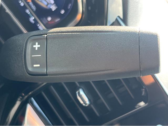 2024 Chevrolet Silverado 1500 Vehicle Photo in BEAUFORT, SC 29906-4218